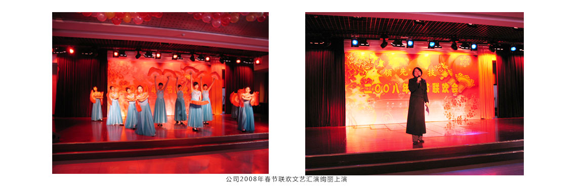 公司2008年春节联欢文艺汇演壮丽上演 公司2008年春节联欢文艺汇演壮丽上演