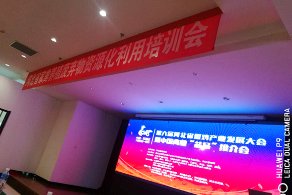 ÇòÃ˻῵µØ¼ÓÈëµÚÁù½ì£¨2018£©ºÓ±±Ê¡µ°¼¦¹¤ÒµÉú³¤´ó»á ôßÖйúÇÝÒµ¡°Ð¾Æ·¡±Íƽé»á ÇòÃ˻῵µØ¼ÓÈëµÚÁù½ì£¨2018£©ºÓ±±Ê¡µ°¼¦¹¤ÒµÉú³¤´ó»á ôßÖйúÇÝÒµ¡°Ð¾Æ·¡±Íƽé»á