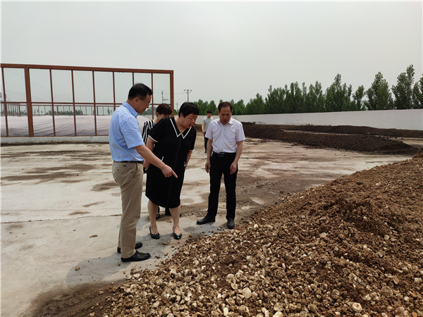 农业农村部微生物肥料和食用菌菌种质量监视磨练测试中心李俊主任、姜昕主任来球盟会公司调研、指导事情 农业农村部微生物肥料和食用菌菌种质量监视磨练测试中心李俊主任、姜昕主任来球盟会公司调研、指导事情