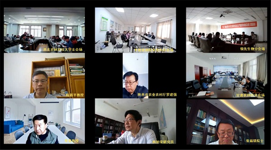 ���˻�����������ص��з����롰������ԭ������ˮ�����������������ģʽ��Ӧ�á���Ŀ����