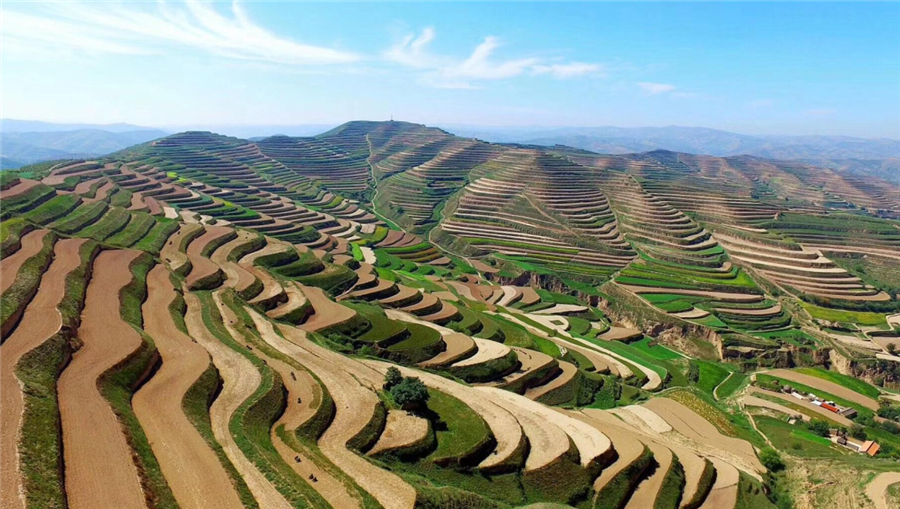 ���˻�����������ص��з����롰������ԭ������ˮ�����������������ģʽ��Ӧ�á���Ŀ����