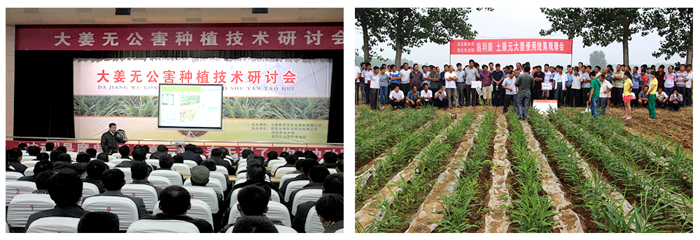 ���˻�������������������������󽪡�����������