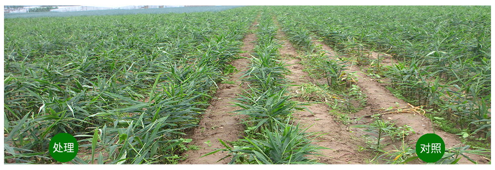 ���˻�������������������������󽪡�����������