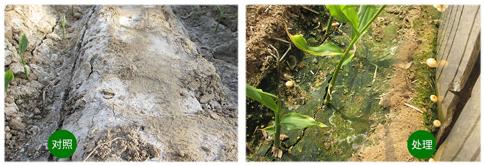 ���˻�������������������������󽪡�����������